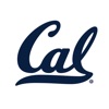 California Golden Bears Stickers Basic