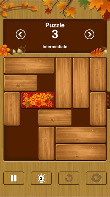 Unblock Me Premium - Classic Block Puzzle Game