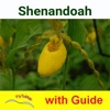 Shenandoah National Park - Standard