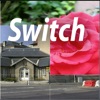 Switch Switch