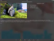 nplayer lite ipad bildschirmfoto 2