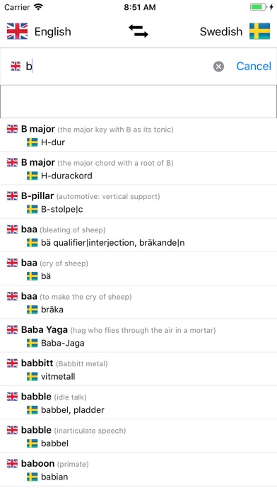 Swedish/English Dictionary screenshot 4