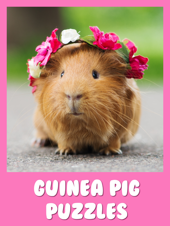 Screenshot #4 pour Guinea Pig Jigsaw Puzzle Games