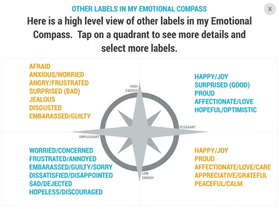 My Emotional Compass iPad app afbeelding 2