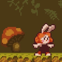Jungle Adventure-Sunny Forest