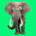 Top 28 Shopping Apps Like Animal Sounds Voice Simulator - Best Alternatives