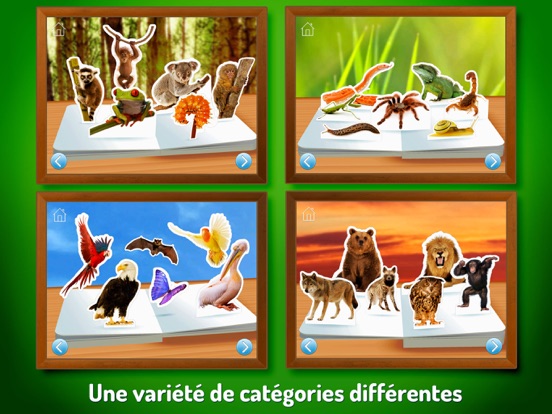 Screenshot #6 pour Les animaux du zoo  ~  Touche, regarde, écoute