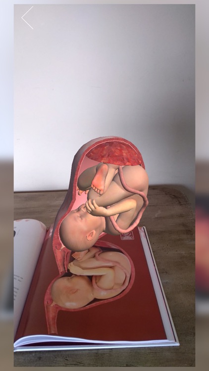 APP Realidade Aumentada screenshot-6