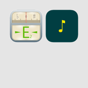 Professional Tuner and Metronome