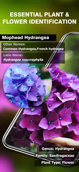Smart Identifier: Screenshot 2 von 3