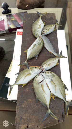 Fish Market AR(圖1)-速報App
