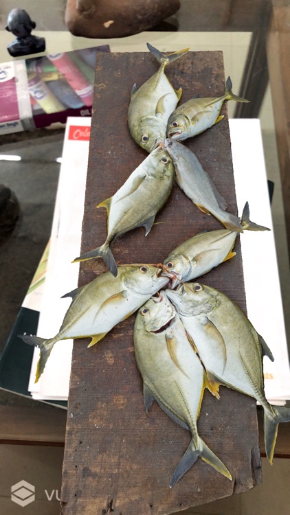 Fish Market AR
