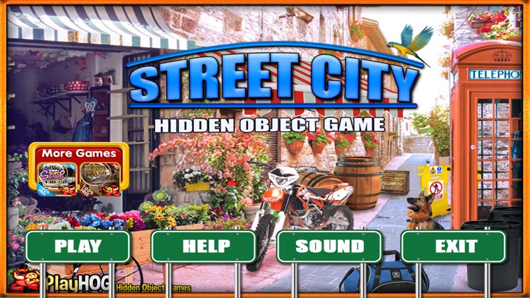 Street City Hidden Object Game screenshot-3