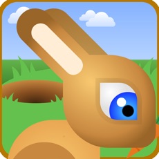 Activities of Bunny Rabbit Jump Race