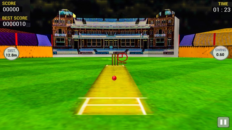 Cricket Run Out 3D