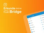 bridge inspector hue ipad bildschirmfoto 1
