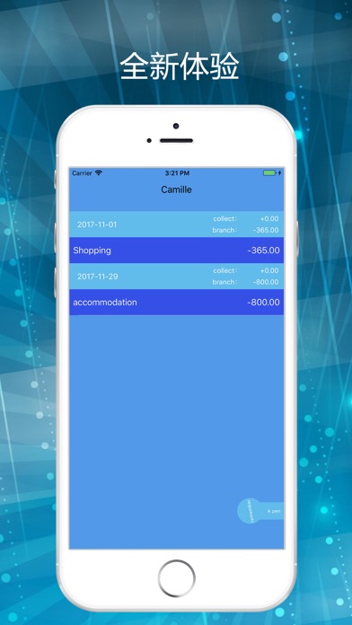 AccountingBook screenshot 2