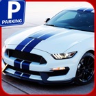 Backyard Parking Mania 3D