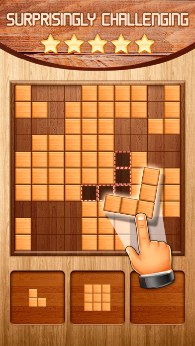 Wood Block Puzzle Plus screenshot 3