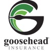 Goosehead Insurance - Drew Lee