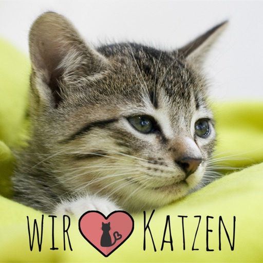 Wir lieben Katzen