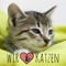 In unserer neuen "Wir lieben Katzen" - App findest du täglich tolle Bilder und Videos, sowie nützliche Tipps und interessante Fakten rund um die Katze