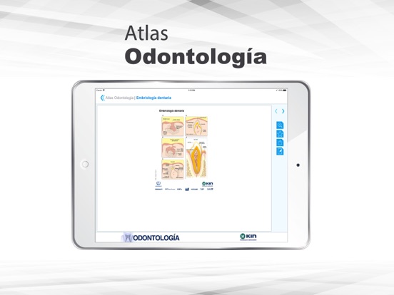 Screenshot #6 pour Atlas Odontología