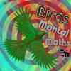 Birds Maths