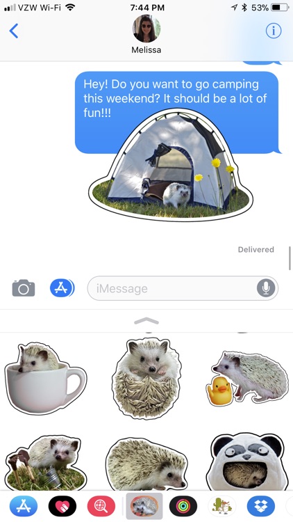 Quill the Hedgehog