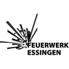 Feuerwerk Essingen - Wittwer