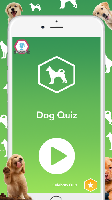 Dog Quiz - Which dog is that?のおすすめ画像5
