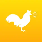 Chicken Sounds App Positive Reviews