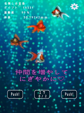 金魚ドリームのおすすめ画像3