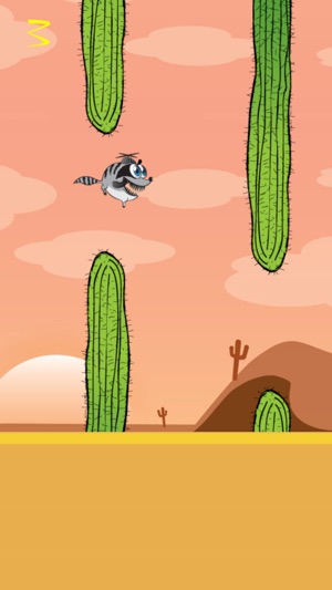Razy Raccoon(圖4)-速報App