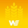 Wexport App