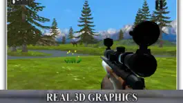 Game screenshot Big Deer Target mod apk