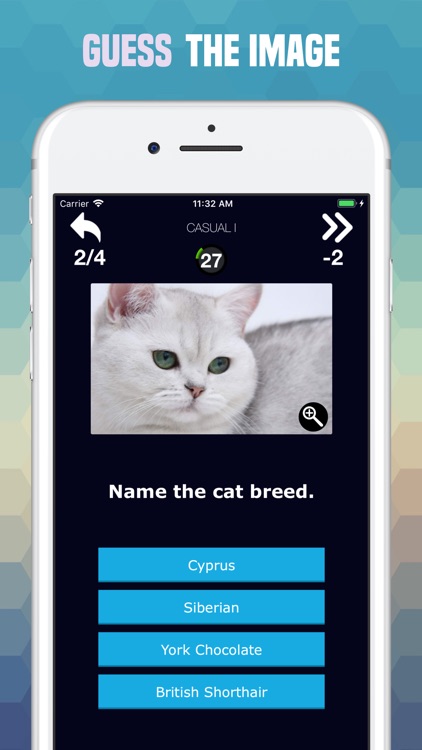 Cats Trivia - Cute Images Quiz