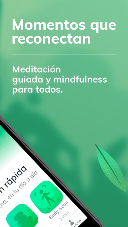 Bambú - Meditación