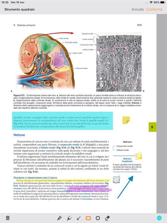 digibook24 screenshot-3