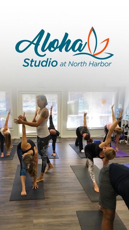 Aloha Studio at N. Harbor