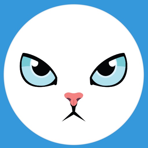 Clinical Assessment Tool - WSU