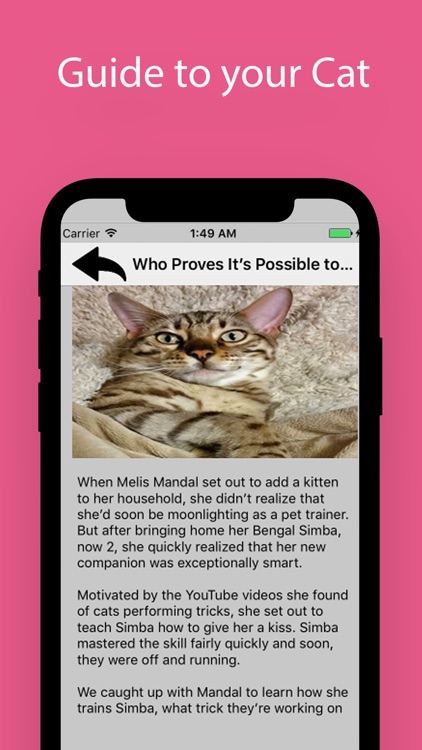 My Cats Guide