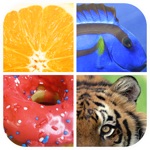 Download Close Up - whats is picture app