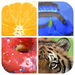 Close Up - whats is picture app icon
