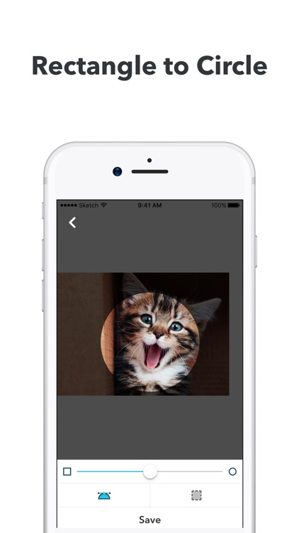 Avatar Editor: Crop Circle