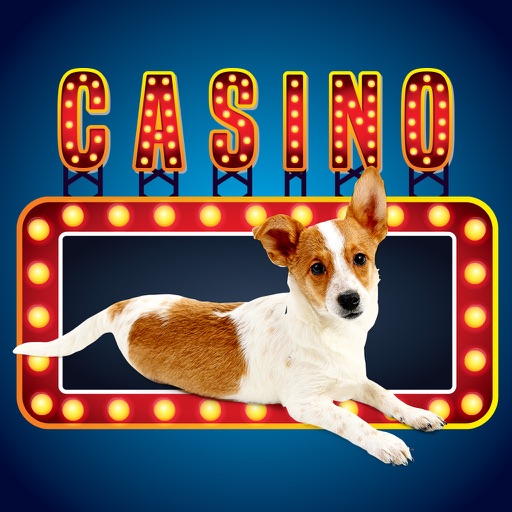 Lucky Pup Wild Casino Icon