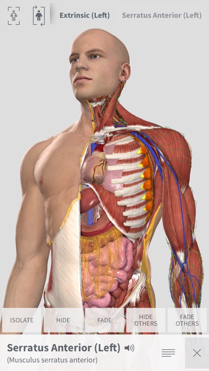 Complete Anatomy for iPhone screenshot-0