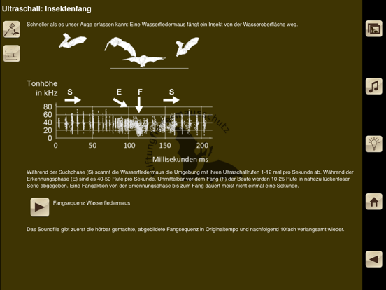 Swiss Bats iPad app afbeelding 2
