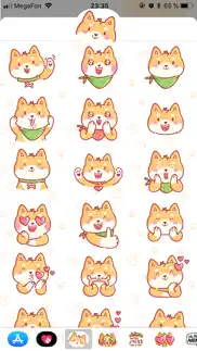 shiba inu! problems & solutions and troubleshooting guide - 1