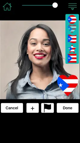 Game screenshot Flag My Picture hack